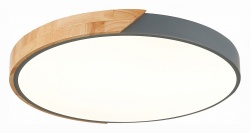 Накладной светильник EVOLUCE Festa SLE200972-01 в интернет-магазине "Галерея света"