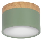 Накладной светильник Loft it Grape 10162 Green в интернет-магазине "Галерея света"