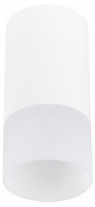 Накладной светильник ST-Luce ST100 ST100.512.01 в интернет-магазине "Галерея света"