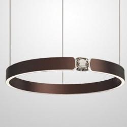 Подвесной светильник Imperiumloft Sellif-B-Ring01 231731-23 в интернет-магазине "Галерея света"