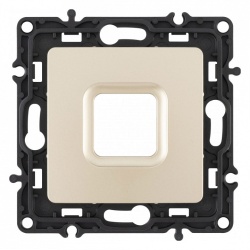 Розетка для вывод кабеля без рамки Arte Milano am-217 217.49-1.shampan в интернет-магазине "Галерея света"