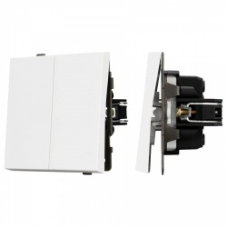 Выключатель проходной двухклавишный без рамки Arlight SWT 054066 в интернет-магазине "Галерея света"