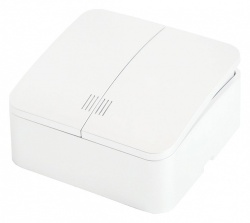 Выключатель двухклавишный с подсветкой Stekker София 49290 в интернет-магазине "Галерея света"