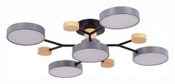 Потолочная люстра EVOLUCE Faema SLE6006-702-05 в интернет-магазине "Галерея света"