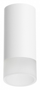 Накладной светильник Lightstar Rullo R43631 в интернет-магазине "Галерея света"