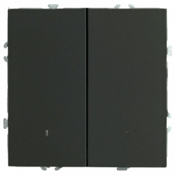 Выключатель двухклавишный с подсветкой без рамки Stekker Эмили 49838 в интернет-магазине "Галерея света"