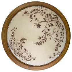 Накладной светильник TopLight Irene TL9630Y-00OA в интернет-магазине "Галерея света"