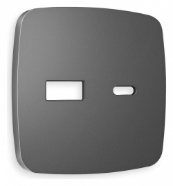 Накладка для розетки type A и C Ambrella Volt OMEGA OP6610 в интернет-магазине "Галерея света"