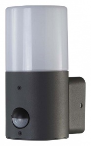 Светильник на штанге Escada Pair 581/1A в интернет-магазине "Галерея света"