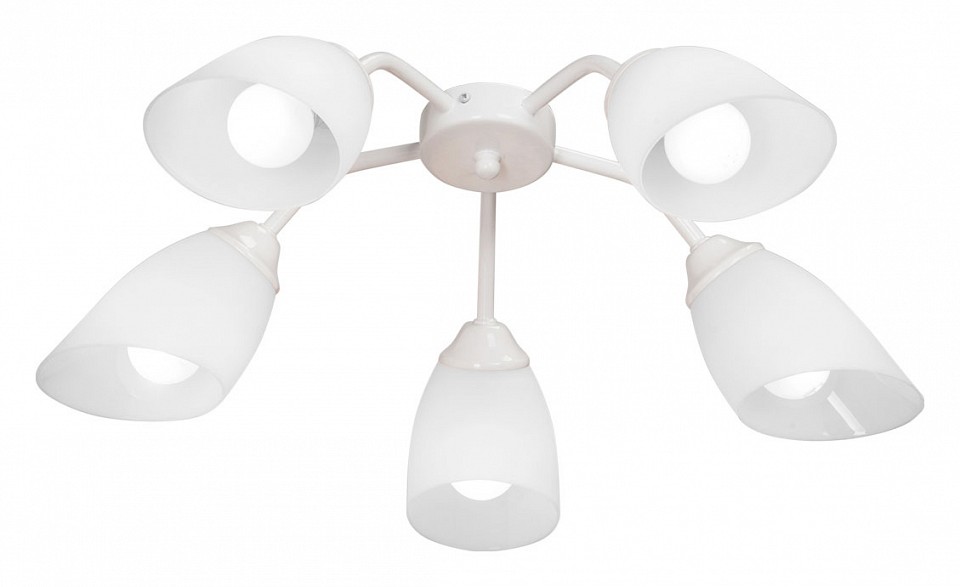 Потолочная люстра Vitaluce V31950 V31950/5PL в интернет-магазине "Галерея света"