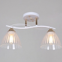 Светильник на штанге  73460-0.3-02 WH+FG в интернет-магазине "Галерея света"