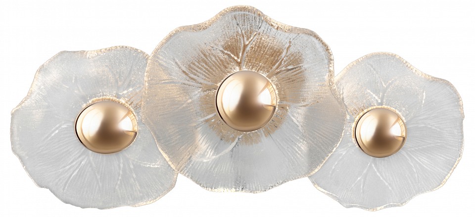 Накладной светильник Rivoli Shannon Б0061948 в интернет-магазине "Галерея света"