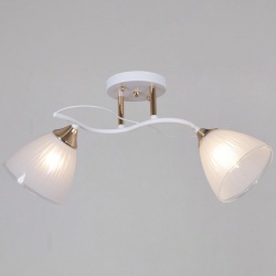 Светильник на штанге  64460-0.3-02 WH+FG в интернет-магазине "Галерея света"