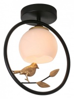 Накладной светильник Escada Song 1113/1P Black в интернет-магазине "Галерея света"