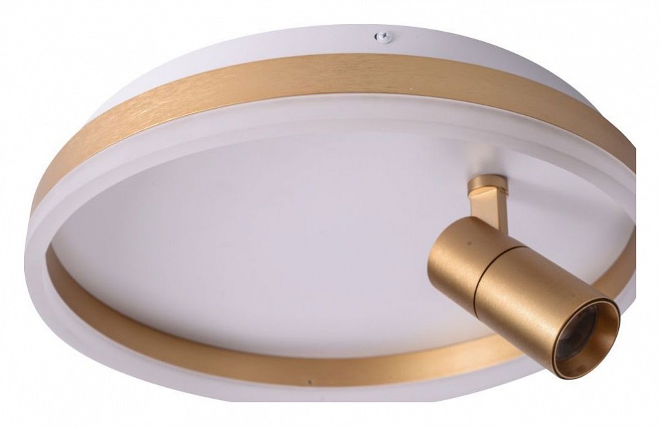 Накладной светильник Zortes Raizy ZRS.1888.04 в интернет-магазине "Галерея света"