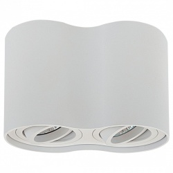 Накладной светильник Lightstar Binoco 052026 в интернет-магазине "Галерея света"