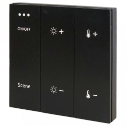 Панель универсальная клавишная накладная ST-Luce Skyline 220 ST015.400.99 в интернет-магазине "Галерея света"