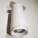 Светильник на штанге Maytoni Focus Zoom TR021-1-12B4K-Z-D-W в интернет-магазине "Галерея света"