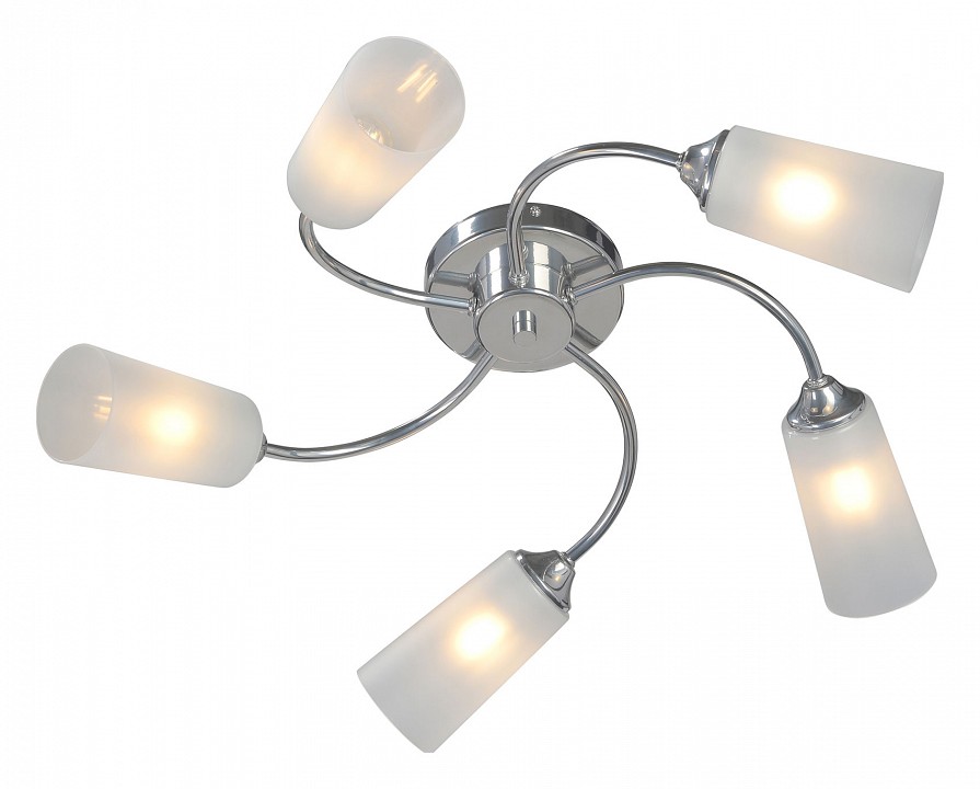 Потолочная люстра Vitaluce V2831 V2831-9/5PL в интернет-магазине "Галерея света"