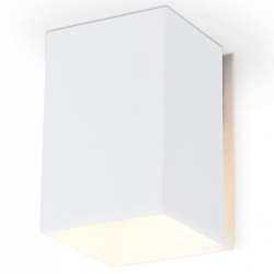 Накладной светильник Ambrella Light TN TN5111 в интернет-магазине "Галерея света"