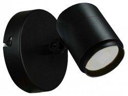 Светильник на штанге Favourite Securitas 4638-1W в интернет-магазине "Галерея света"