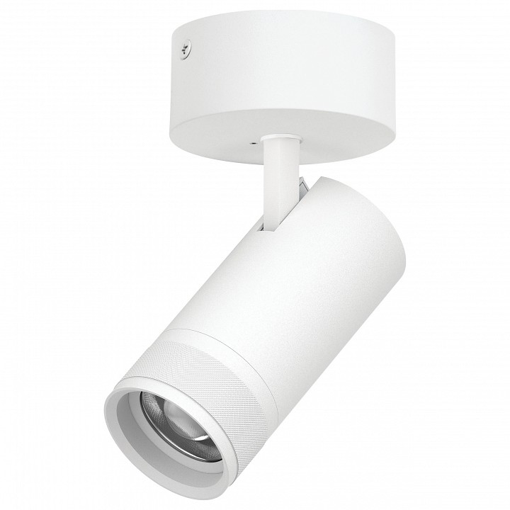 Спот Lightstar Canno Pro C4306SO в интернет-магазине "Галерея света"