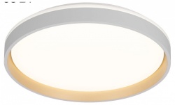 Накладной светильник Citilux ENZO CL753450G в интернет-магазине "Галерея света"