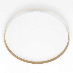 Накладной светильник Citilux ETALON CL750500R в интернет-магазине "Галерея света"