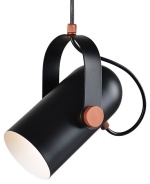 Подвесной светильник Favourite Ampolla 2007-1P в интернет-магазине "Галерея света"