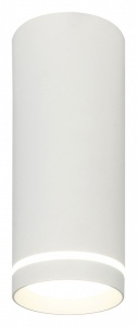 Накладной светильник Escada 20009 20009SMU/02LED SWH в интернет-магазине "Галерея света"