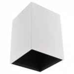 Накладной светильник Lightstar Ottico QUA 214420 в интернет-магазине "Галерея света"