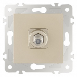 ТВ-розетка без рамки Arte Milano am-203 203.42-1.shampan в интернет-магазине "Галерея света"