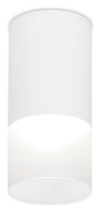 Накладной светильник Ambrella Light TN TN231 в интернет-магазине "Галерея света"