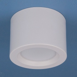 Накладной светильник Elektrostandard DLR026 a040440 в интернет-магазине "Галерея света"