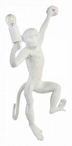 Накладной светильник EVOLUCE Tenato SLE115111-01 в интернет-магазине "Галерея света"