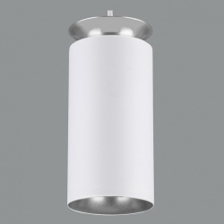 Подвесной светильник Elektrostandard DLS021 9+4W 4200К a045502 в интернет-магазине "Галерея света"