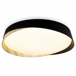 Накладной светильник Citilux BONNY CL754351G в интернет-магазине "Галерея света"