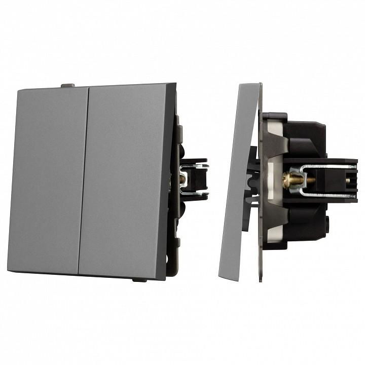 Выключатель двухклавишный без рамки Arlight SWT 054060 в интернет-магазине "Галерея света"