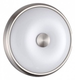 Накладной светильник Odeon Light Pelow 4957/2 в интернет-магазине "Галерея света"