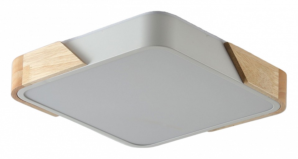 Накладной светильник Zortes Alberro ZRS.01285.48 в интернет-магазине "Галерея света"