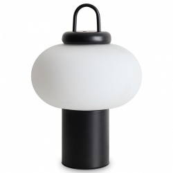 Настольная лампа декоративная Freya Take FR6175TL-L10B в интернет-магазине "Галерея света"