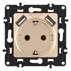 Розетка с заземлением и со шторкой и 2хUSB, без рамки Arte Milano am-217 217.47-1.shampan в интернет-магазине "Галерея света"