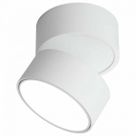 Спот Omnilux Lenno OML-101309-18 в интернет-магазине "Галерея света"