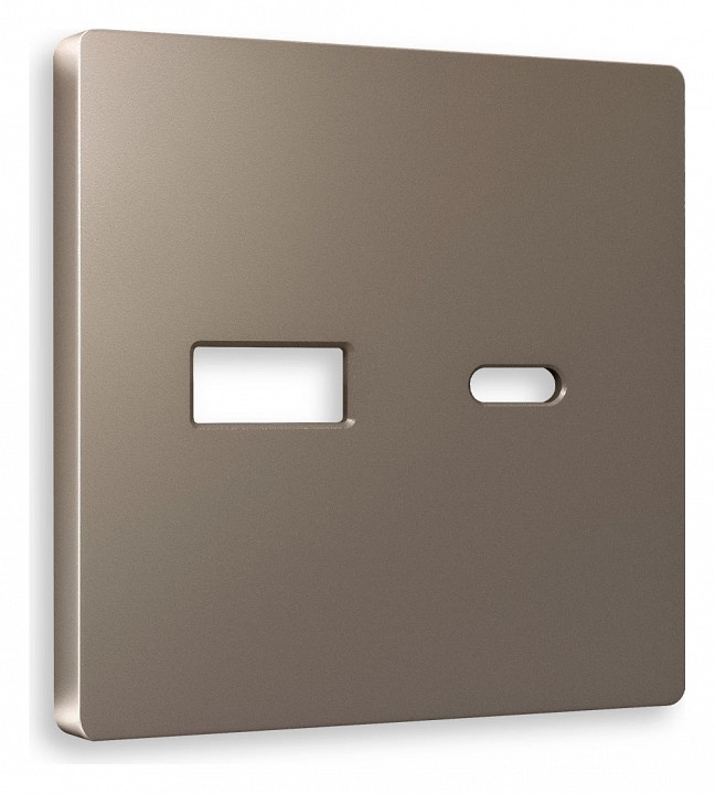 Накладка для розетки type A и C Ambrella Volt ALFA AP6410 в интернет-магазине "Галерея света"