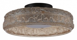 Накладной светильник ST-Luce ANTIKE SL6143.422.01 в интернет-магазине "Галерея света"