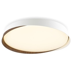 Накладной светильник Citilux BONNY CL754450G в интернет-магазине "Галерея света"