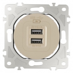 Розетка USB, без рамки Arte Milano am-202 202.46-1.shampan в интернет-магазине "Галерея света"