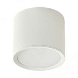 Накладной светильник  53005-9.5-001LD GX53 WT в интернет-магазине "Галерея света"