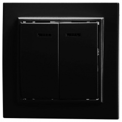 Выключатель двухклавишный с подсветкой Stekker Эрна 39471 в интернет-магазине "Галерея света"