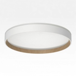 Накладной светильник Citilux ETALON CL750320R в интернет-магазине "Галерея света"